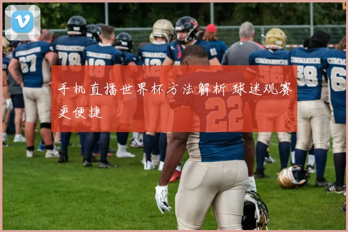 手机直播世界杯方法解析 球迷观赛更便捷