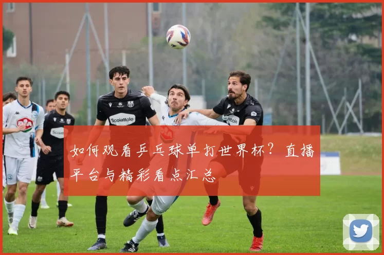 如何观看乒乓球单打世界杯?直播平台与精彩看点汇总