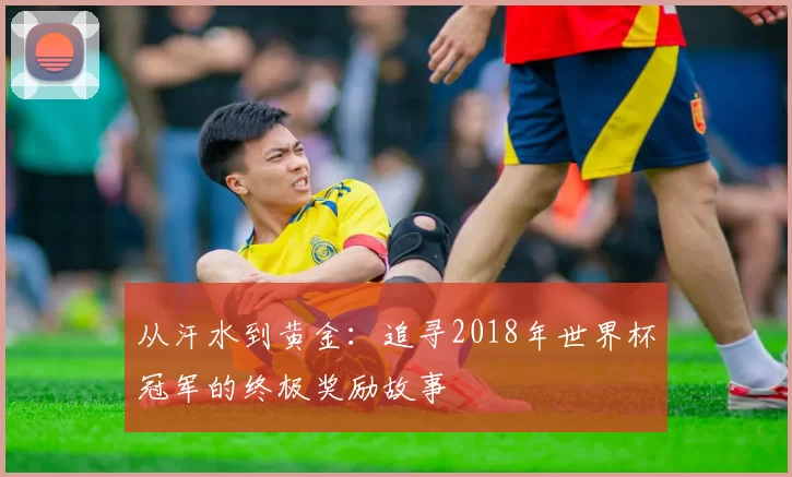 从汗水到黄金：追寻2018年世界杯冠军的终极奖励故事