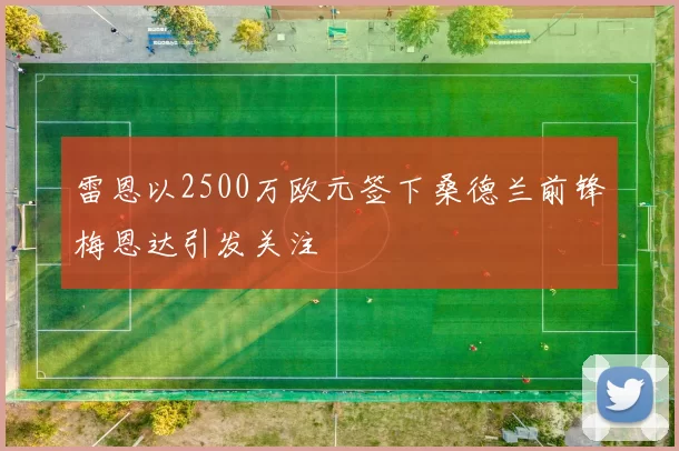 雷恩以2500万欧元签下桑德兰前锋梅恩达引发关注