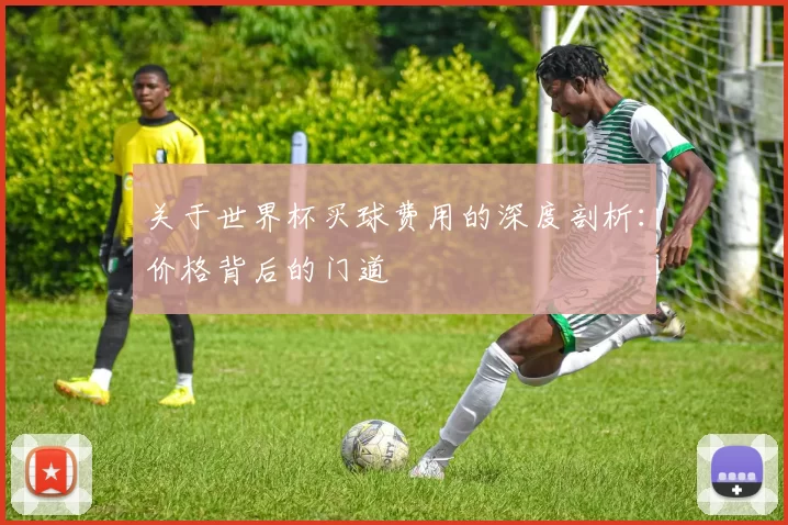 关于世界杯买球费用的深度剖析:价格背后的门道