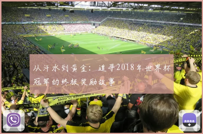 从汗水到黄金：追寻2018年世界杯冠军的终极奖励故事