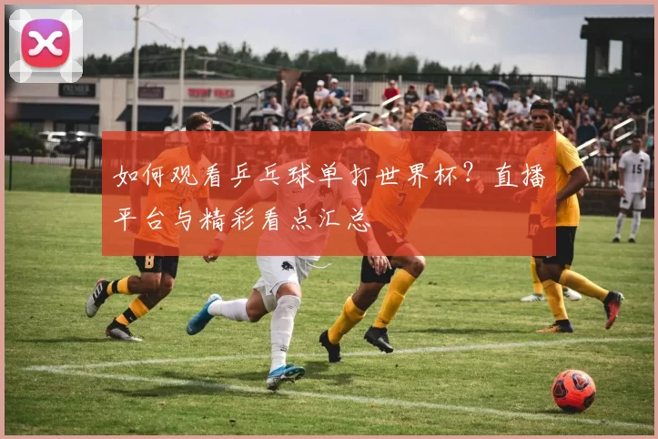 如何观看乒乓球单打世界杯?直播平台与精彩看点汇总