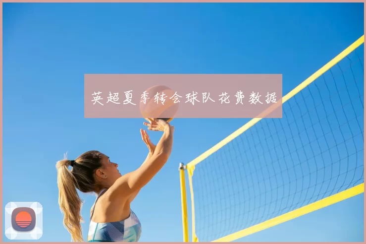 英超夏季转会球队花费数据