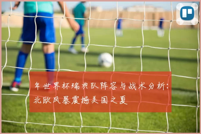 年世界杯瑞典队阵容与战术分析:北欧风暴震撼美国之夏