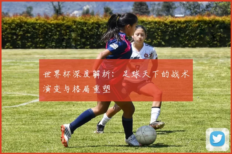世界杯深度解析：足球天下的战术演变与格局重塑