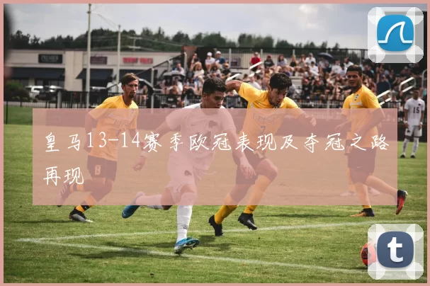 皇马13-14赛季欧冠表现及夺冠之路再现