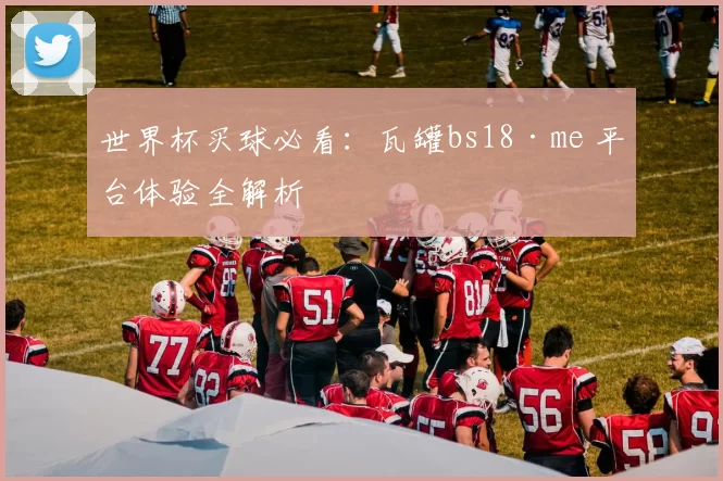世界杯买球必看：瓦罐bs18·me 平台体验全解析