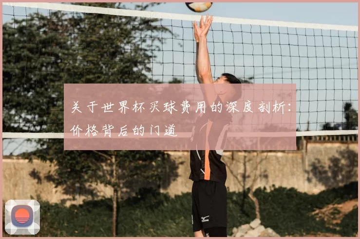 关于世界杯买球费用的深度剖析:价格背后的门道
