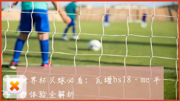 世界杯买球必看：瓦罐bs18·me 平台体验全解析
