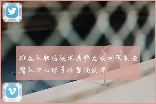 雄鹿队联防战术调整后成功限制老鹰队核心球员特雷杨发挥