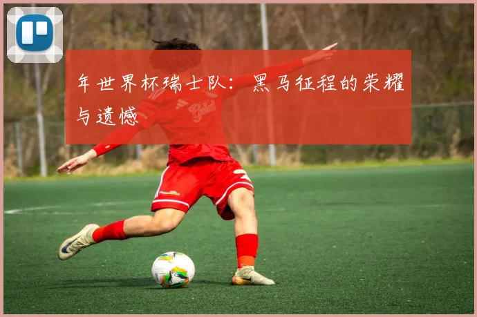 年世界杯瑞士队：黑马征程的荣耀与遗憾
