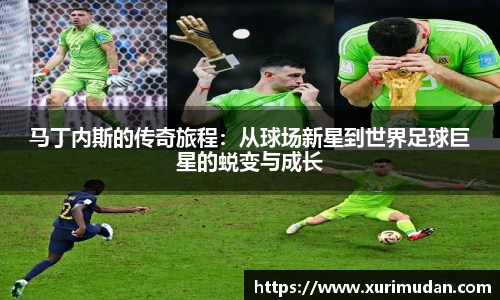 NG体育官网