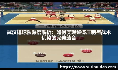 武汉排球队深度解析：如何实现整体压制与战术优势的完美结合