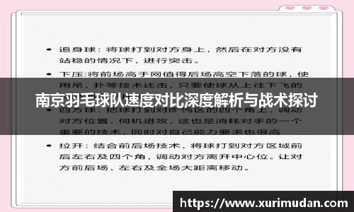 南京羽毛球队速度对比深度解析与战术探讨